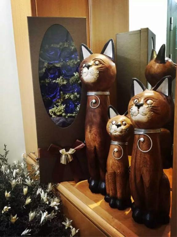 Kunming Cat Nest Female Youth Hostel Екстер'єр фото