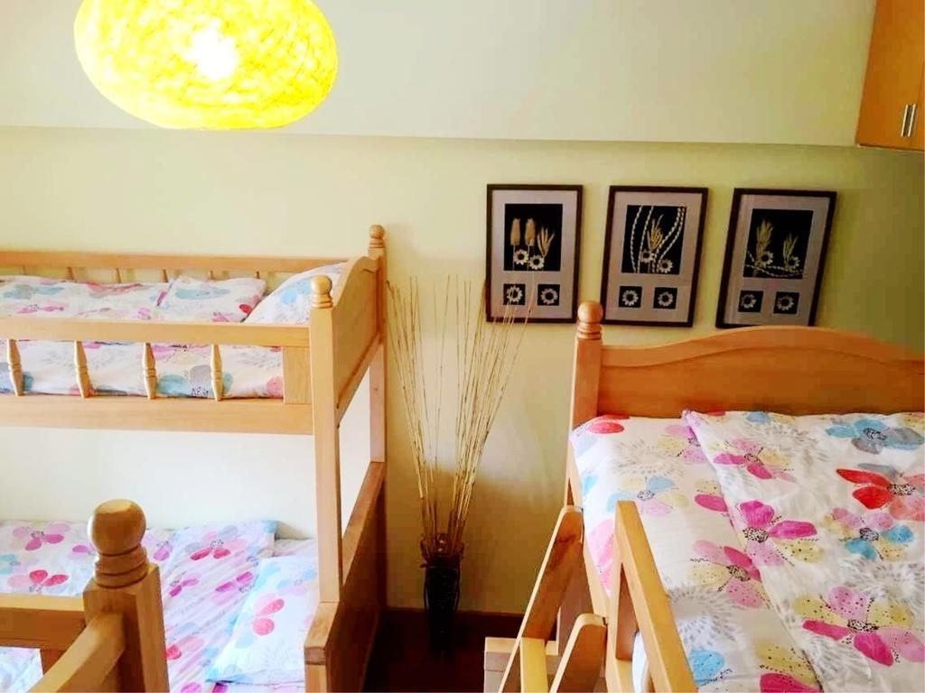 Kunming Cat Nest Female Youth Hostel Екстер'єр фото